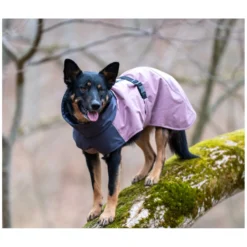 pawberry Hundemäntel<Hunde-Wintermantel Tallinn