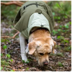 pawberry Hundemäntel<Hunde-Wintermantel Random