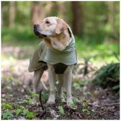 pawberry Hundemäntel<Hunde-Wintermantel Random