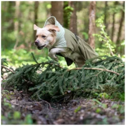 pawberry Hundemäntel<Hunde-Wintermantel Random