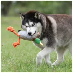 Loesdau Hundespielzeug<pawberry Plüschspielzeug