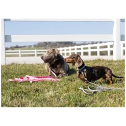 pawberry Hundeleinen<Schleppleine Doncaster