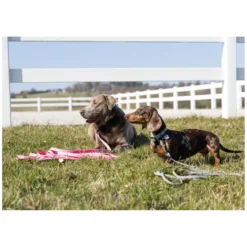 pawberry Hundeleinen<Schleppleine Doncaster