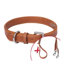 Loesdau Hundehalsbänder|Vorteils-Sets<pawberry Set Gassi XS-M Hundehalsband + Hundeleine Melun