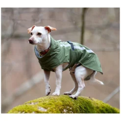 pawberry Hundemäntel<Softshell-Hundemantel Reus