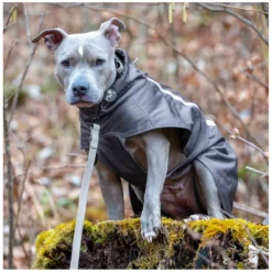 pawberry Hundemäntel<Softshell-Hundemantel Reus