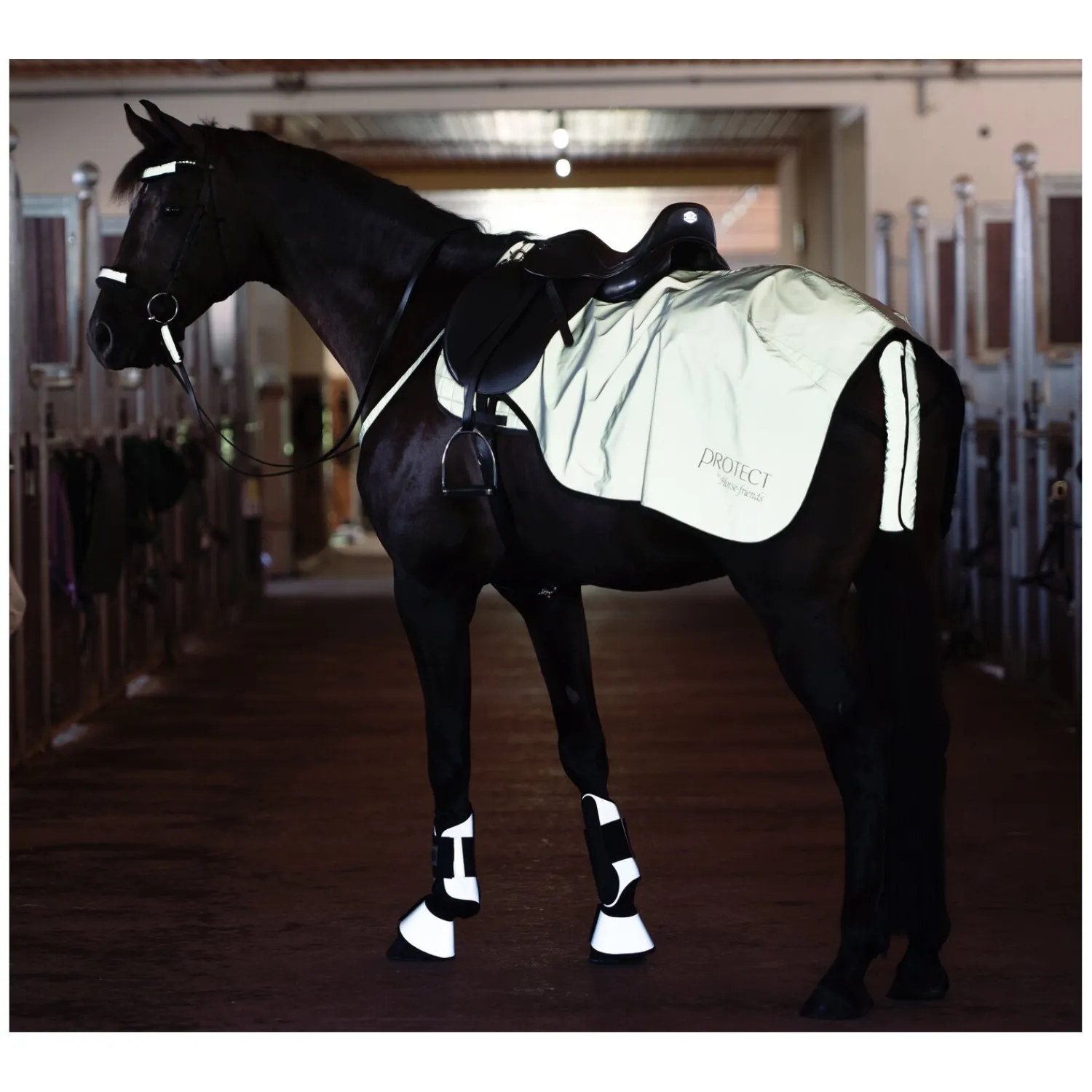 PROTECT by Horse-Friends Pferdedecken<Ausreitdecke