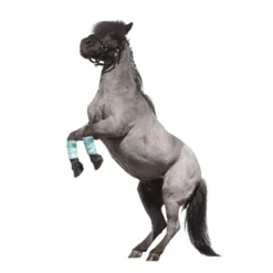 Loesdau Bandagen<PROTECT by Horse-friends Bandagen, für Minishettys und Shetty