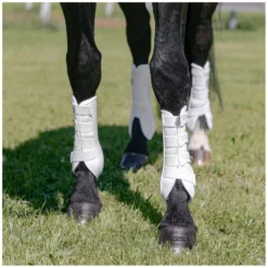 PROTECT by Horse-Friends Gamaschen<Dressurgaaschen Aadora V, vorne