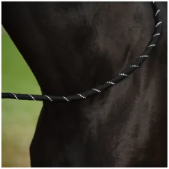 Loesdau Führstricke<PROTECT by Horse-friends Führstrick