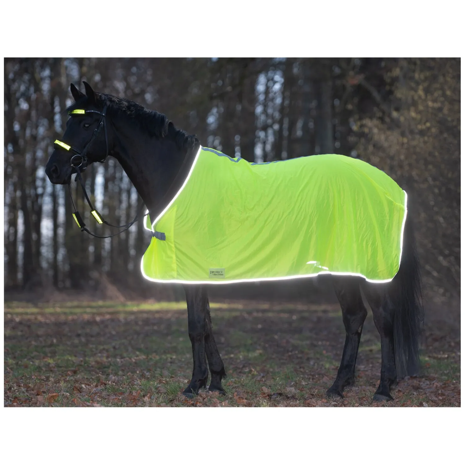 PROTECT by Horse-Friends Pferdedecken<Fliegendecke