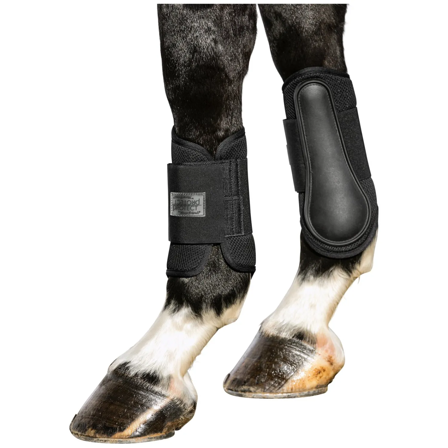 PROTECT by Horse-Friends Gamaschen<Gamaschen Mesh V, vorne