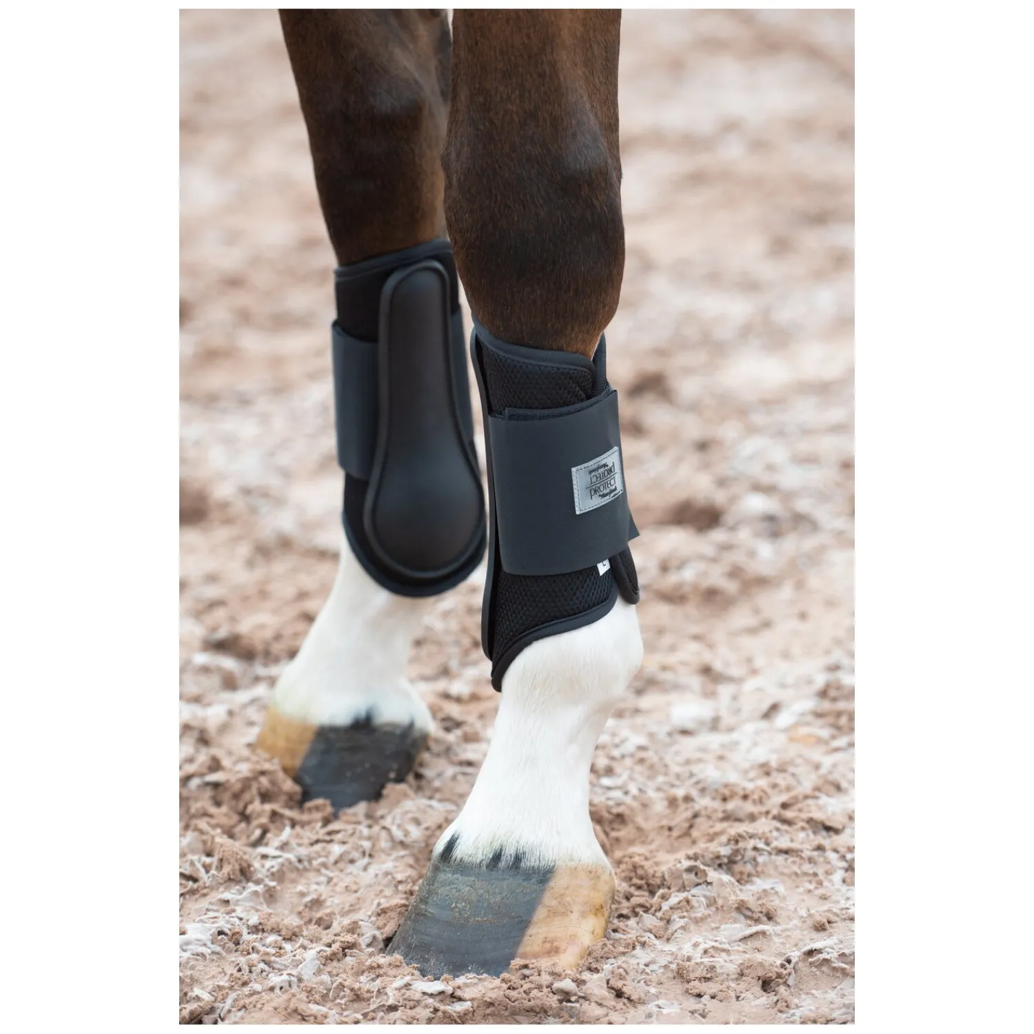 PROTECT by Horse-Friends Gamaschen<Gamaschen Mesh V, vorne