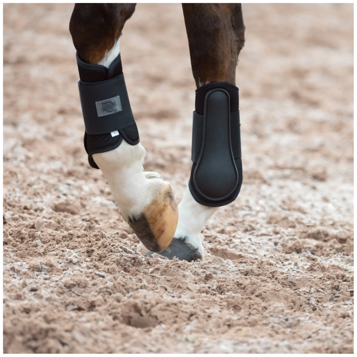 PROTECT by Horse-Friends Gamaschen<Gamaschen Mesh V, vorne