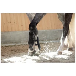 Horse-friends Gamaschen<PROTECT by Gaaschen Vaencia, für die Vorderbeine