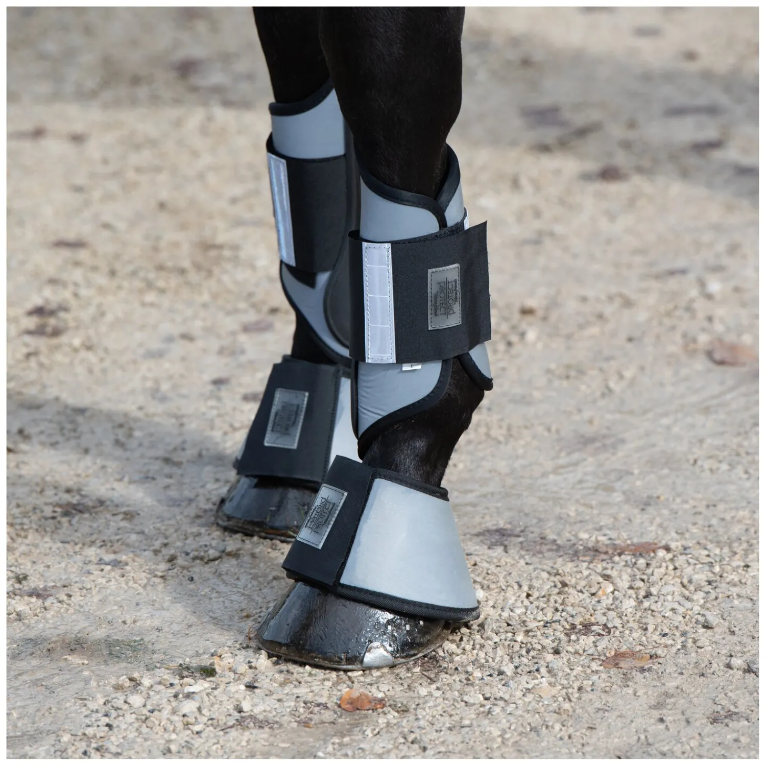 PROTECT by Horse-Friends Hufglocken<Hufgocken