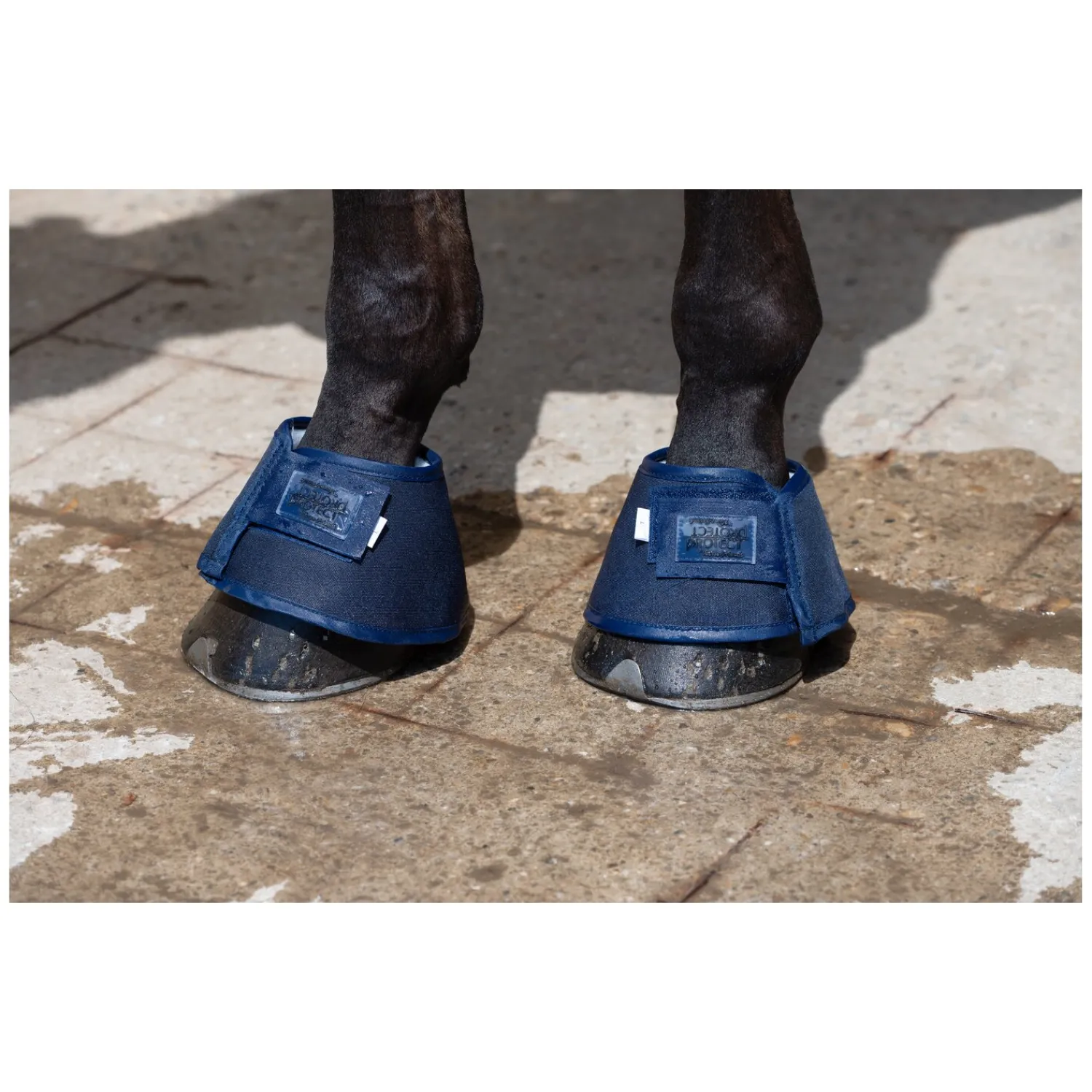 PROTECT by Horse-Friends Abkühlen Und Regenerieren|Hufglocken<Hufgocken Water Boot