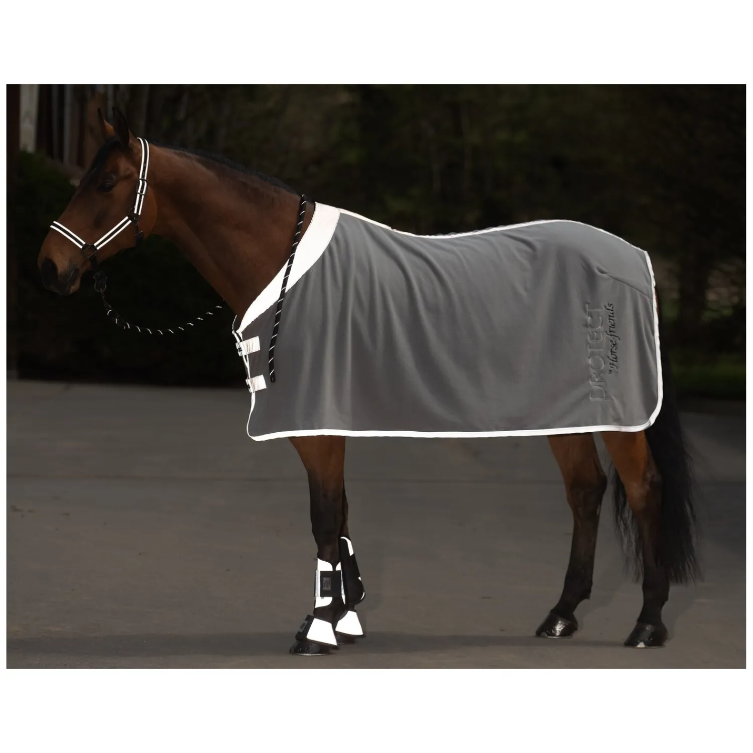 Horse-friends Halfter<PROTECT by Reflektierendes Halfter