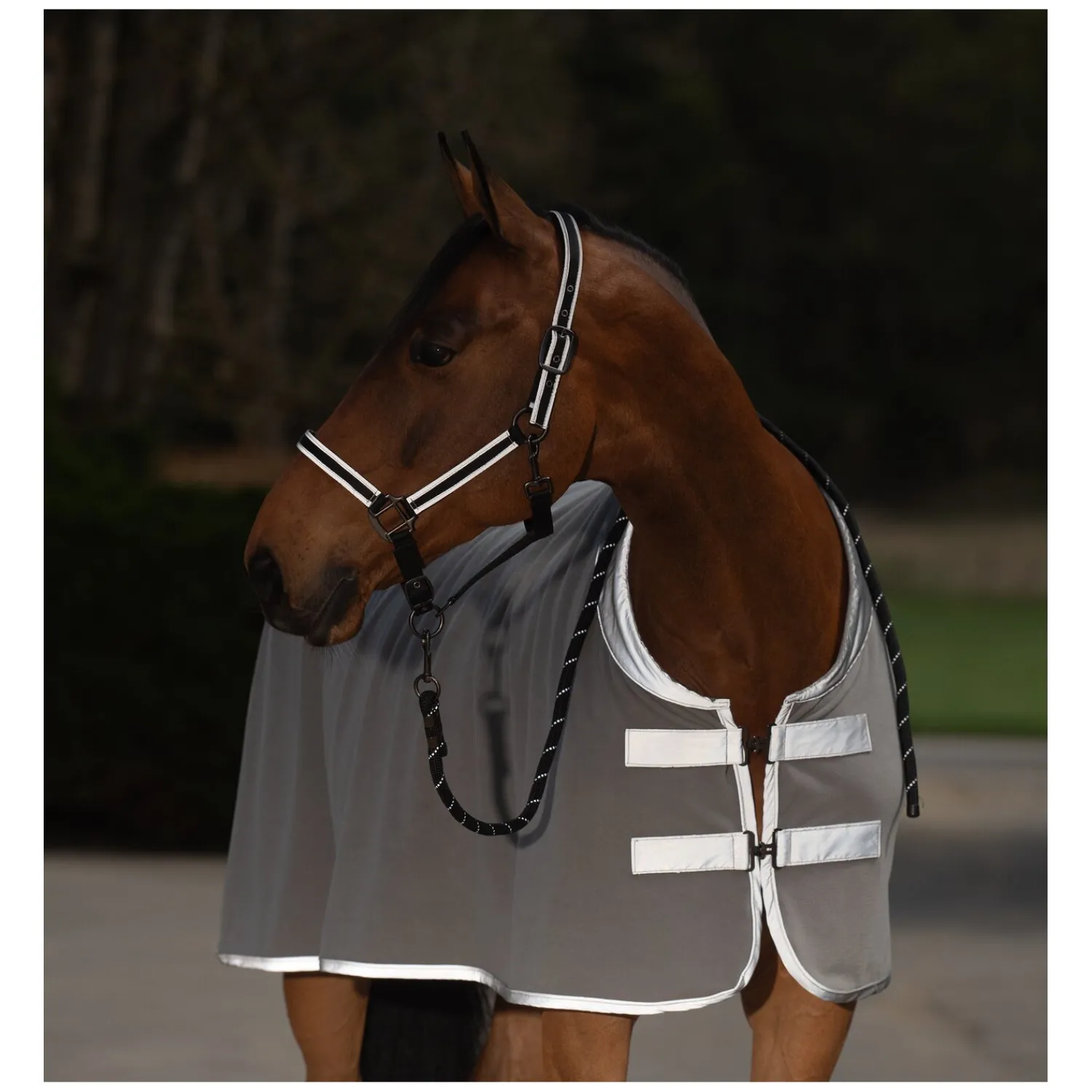 Horse-friends Halfter<PROTECT by Reflektierendes Halfter