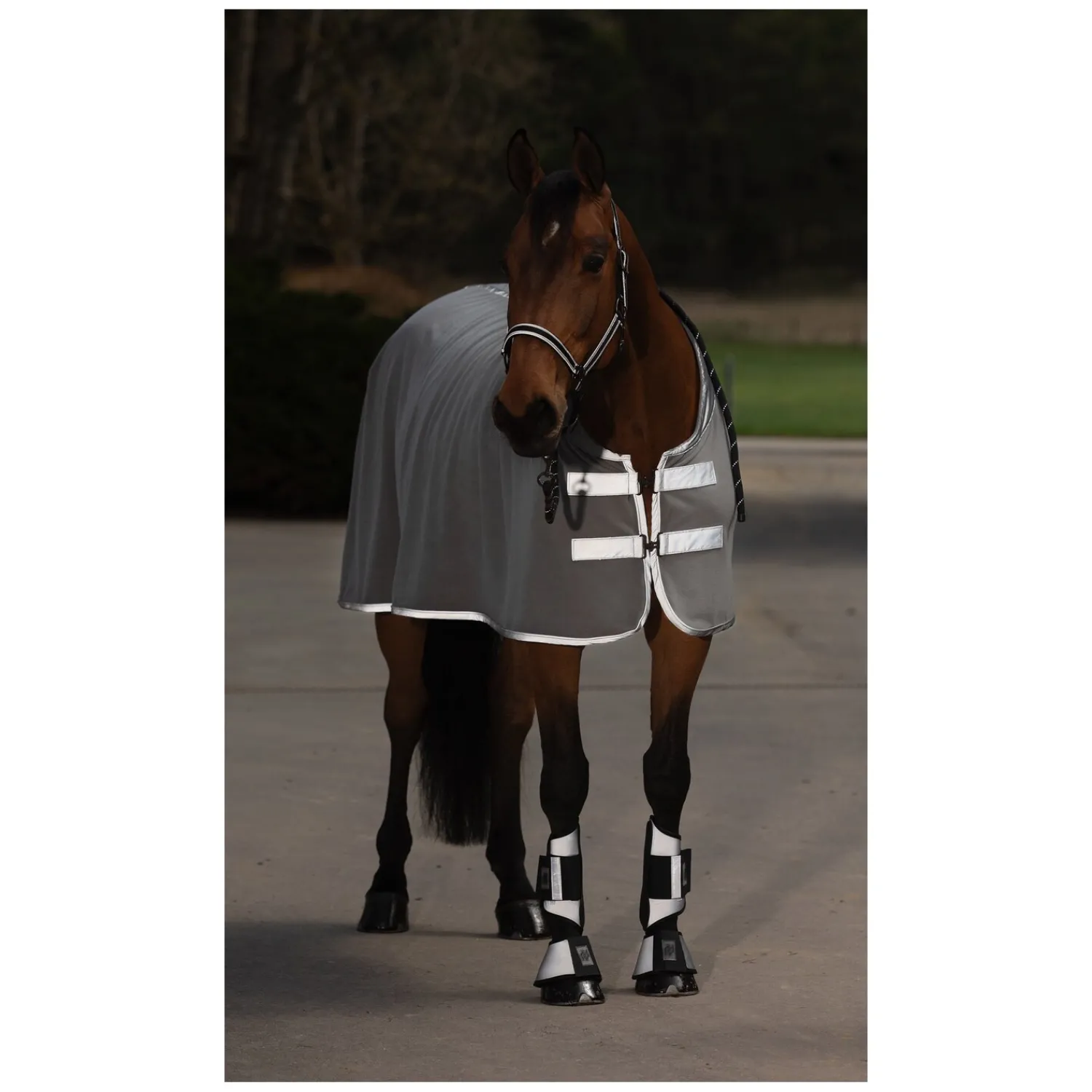 Horse-friends Halfter<PROTECT by Reflektierendes Halfter