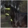 Loesdau Trensen<PROTECT by Horse-friends Reflex-Trensen-Set