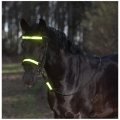 Loesdau Trensen<PROTECT by Horse-friends Reflex-Trensen-Set