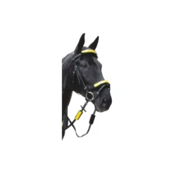 Loesdau Trensen<PROTECT by Horse-friends Reflex-Trensen-Set