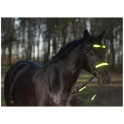 Loesdau Trensen<PROTECT by Horse-friends Reflex-Trensen-Set