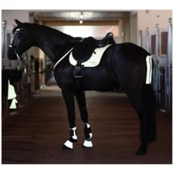Loesdau Schweifschoner<PROTECT by Horse-friends Schweifschoner