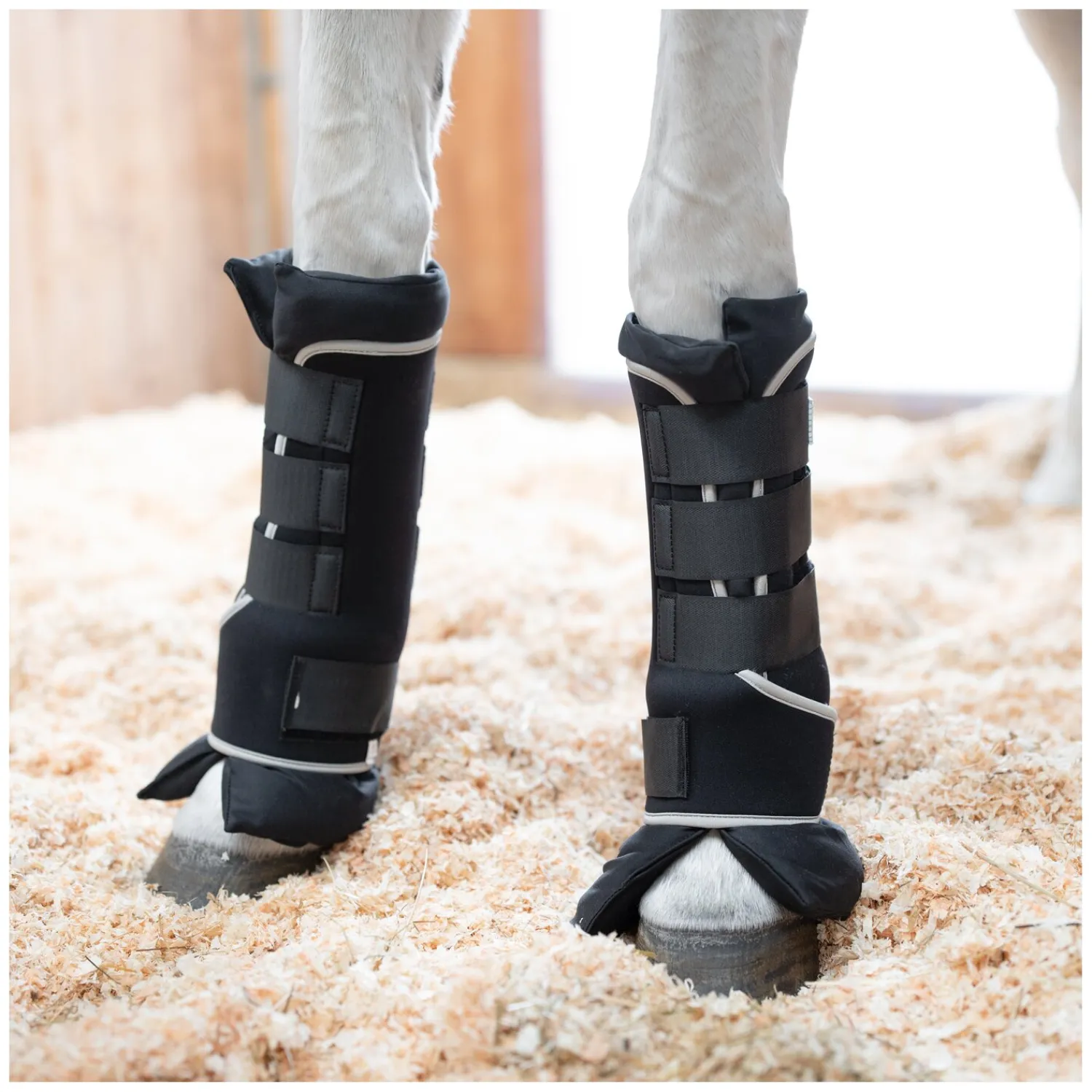 PROTECT by Horse-Friends Transportgamaschen|Gamaschen<tagaachen