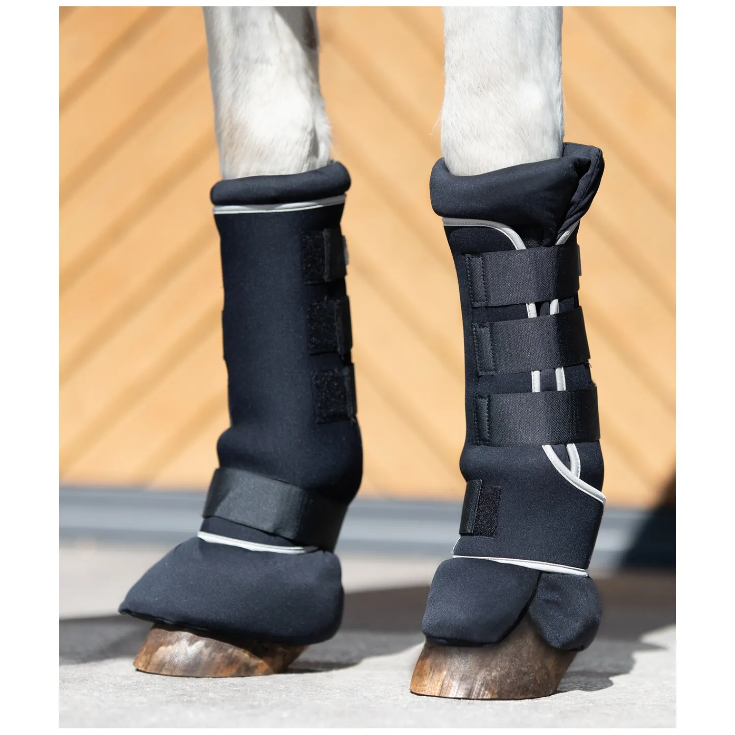 PROTECT by Horse-Friends Transportgamaschen|Gamaschen<tagaachen