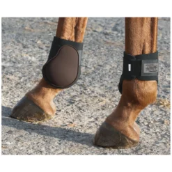 PROTECT by Horse-Friends Streichkappen<Streichkappen