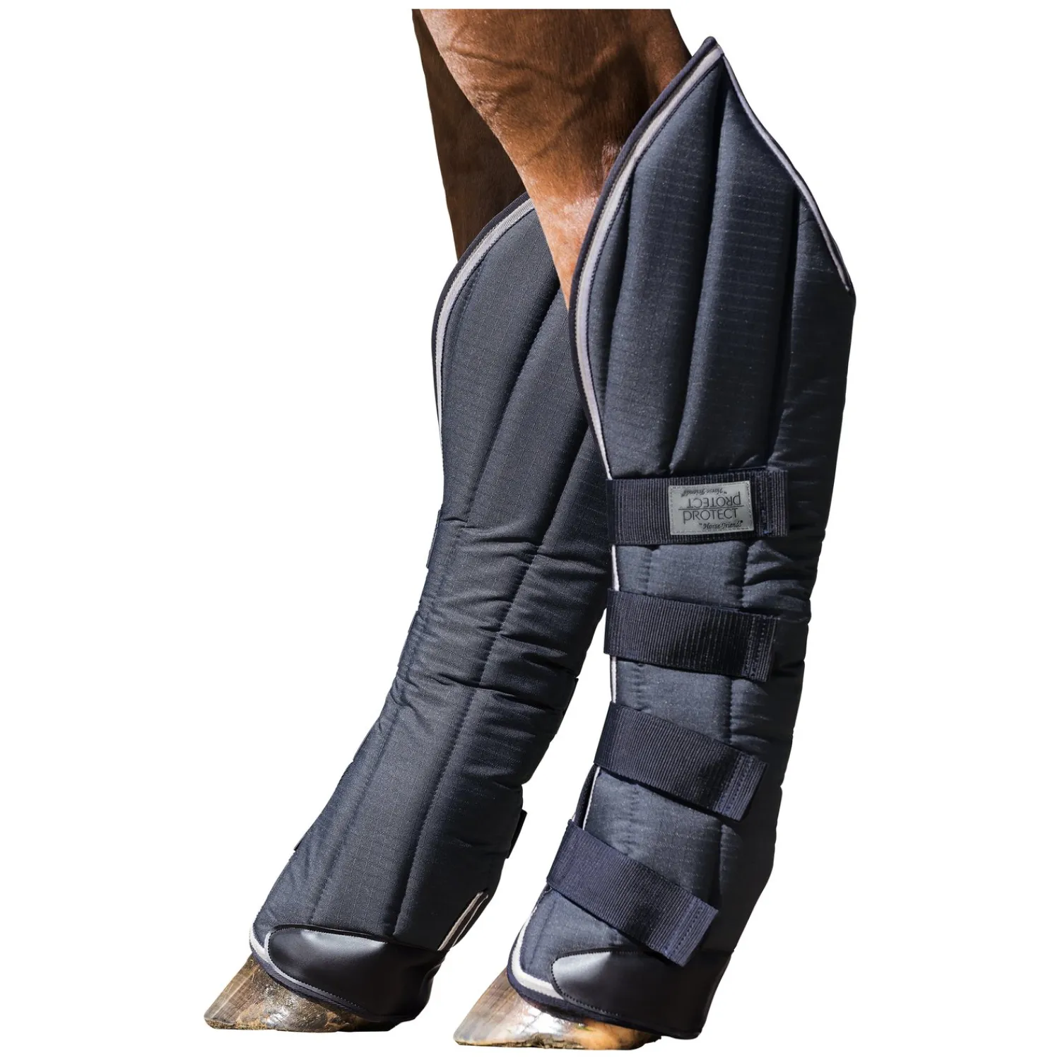 PROTECT by Horse-Friends Transportgamaschen|Gamaschen<Transportgamaschen Premium