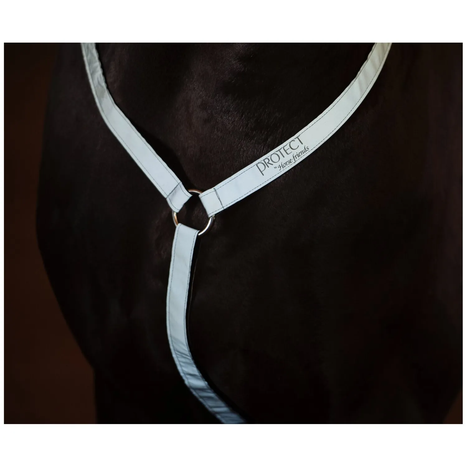 Loesdau Sättel & Zubehör|Sattelzubehör<PROTECT by Horse-friends Vorderzeug