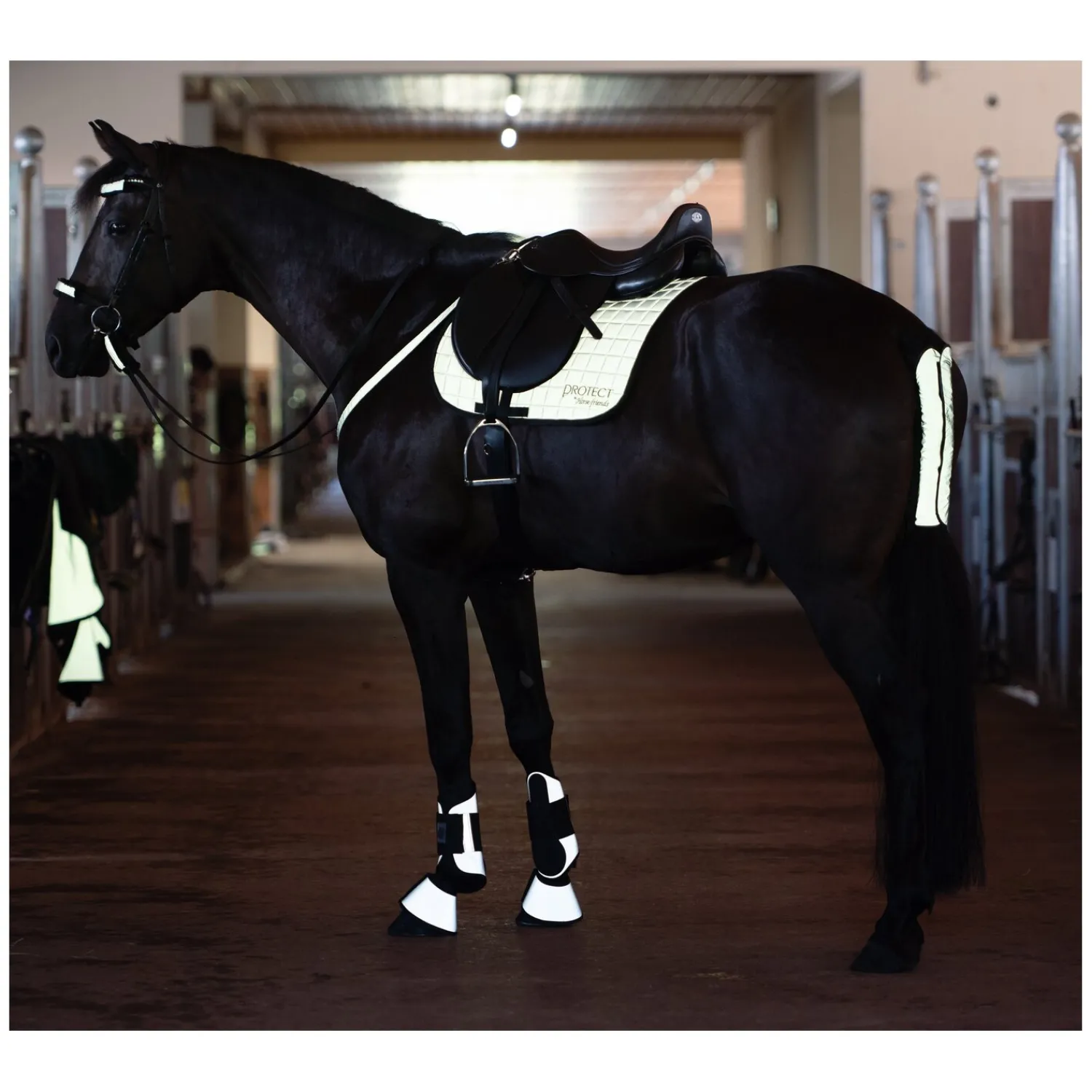 Loesdau Sättel & Zubehör|Sattelzubehör<PROTECT by Horse-friends Vorderzeug