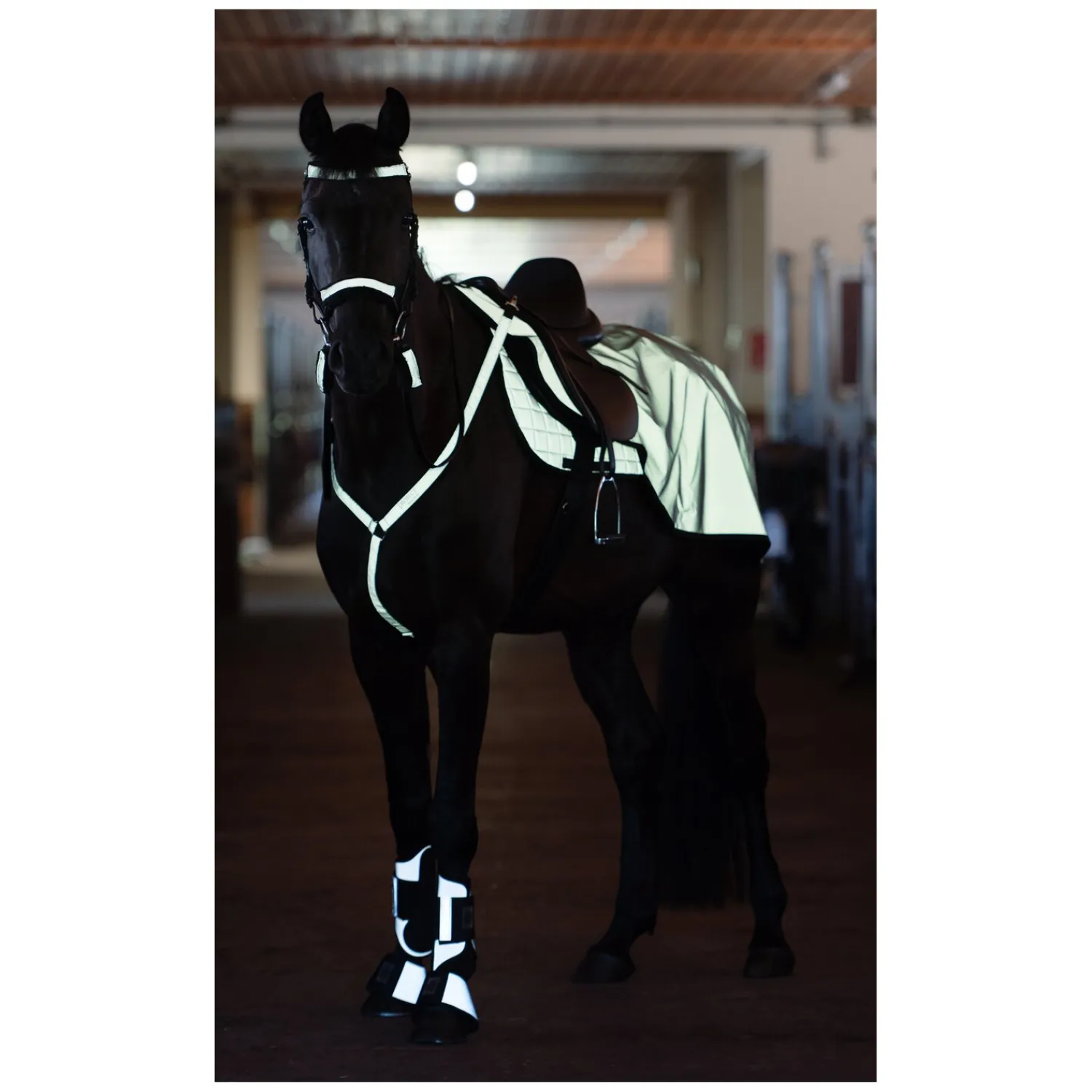 Loesdau Sättel & Zubehör|Sattelzubehör<PROTECT by Horse-friends Vorderzeug