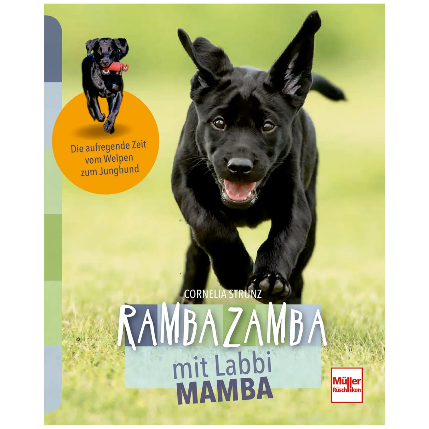 Loesdau Hunde - Bücher|Bücher & Multimedia<Rambazamba mit Labbi Mamba