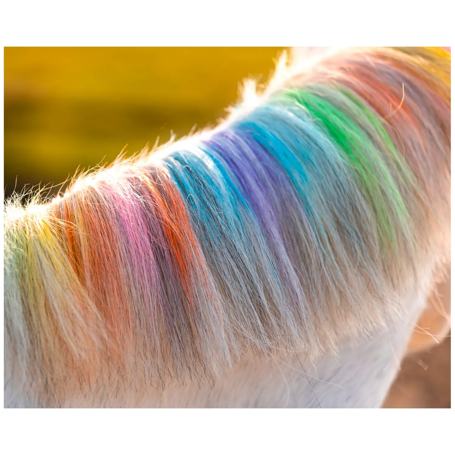 Loesdau Geschenke Für Reiter|Pferdeputzzeug<Regenbogenfarbige Kreide Lucky Horse Unicorn