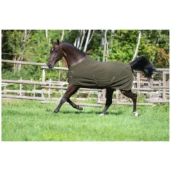 RIDE now Pferdedecken|Transportdecken<Abschwitzdecke Luton
