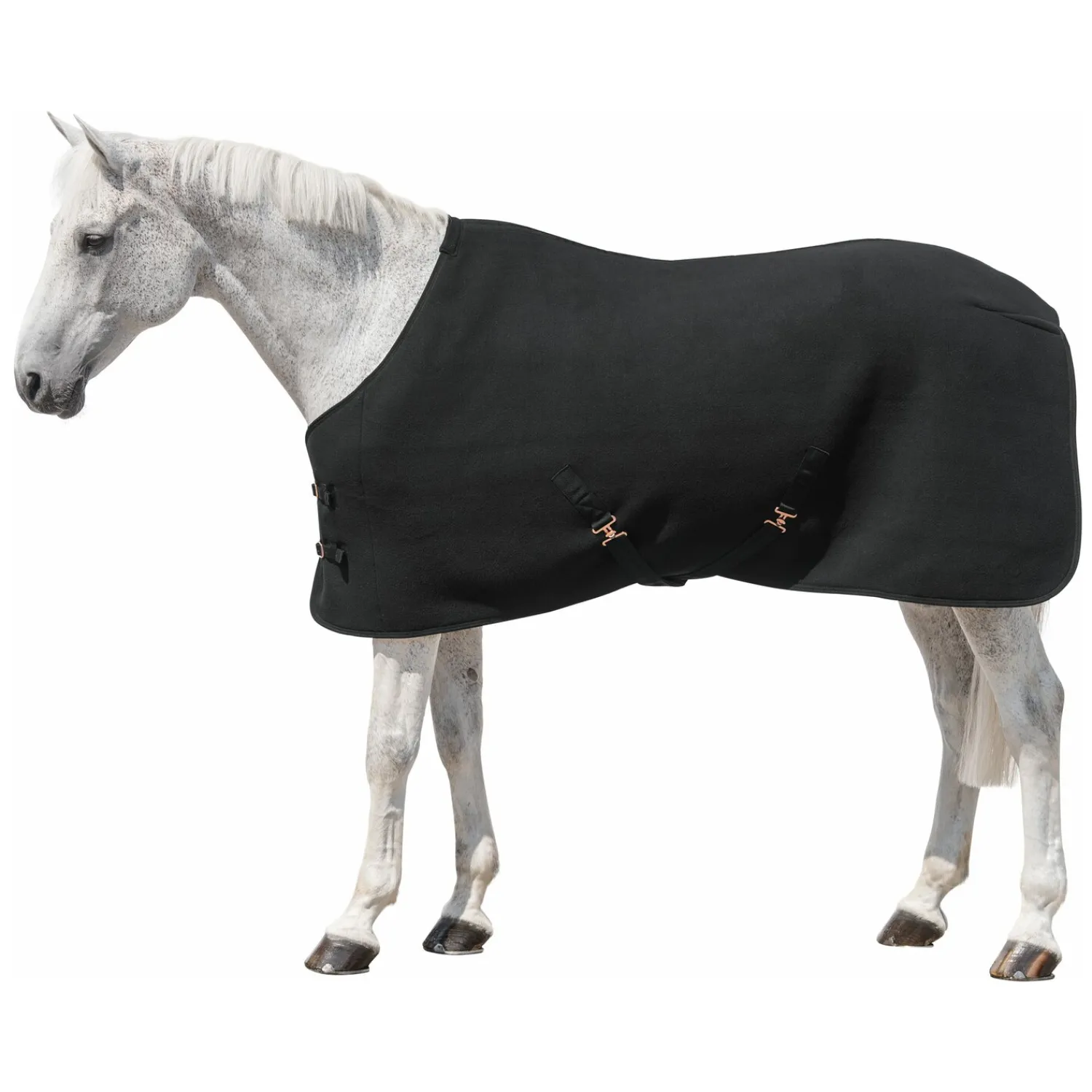 RIDE now Pferdedecken|Transportdecken<Abschwitzdecke Luton