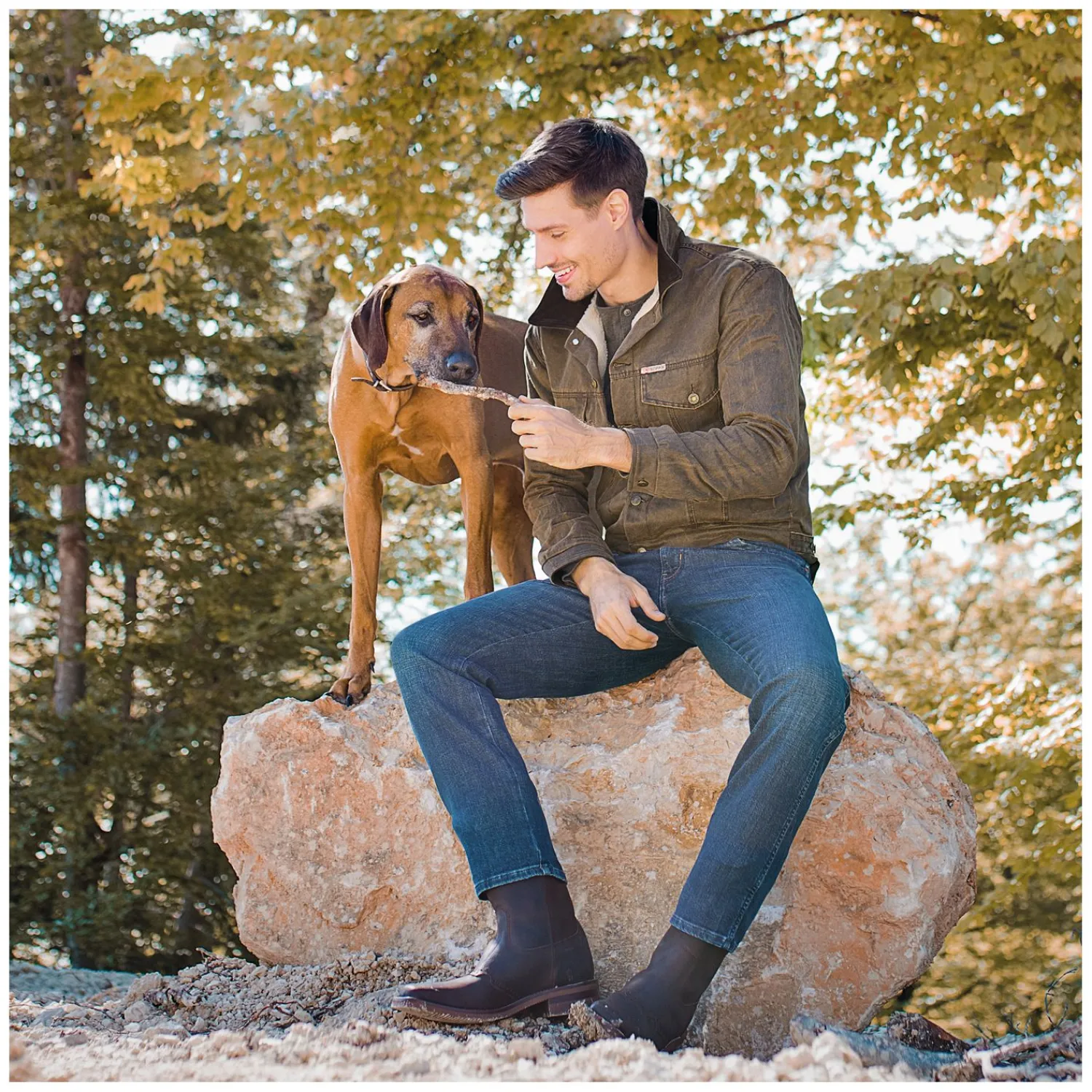 Damen SCIPPIS Reitjacken|Reitjacken<Jackeitchfied Tracker