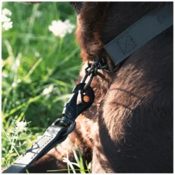 Loesdau Hundeleinen<SPRENGER Biothane Leine mit Handschlaufe