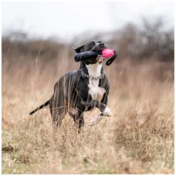 Loesdau Hundespielzeug<SPRENGER Hundespielzeug Duy