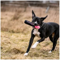 Loesdau Hundespielzeug<SPRENGER Hundespielzeug Duy