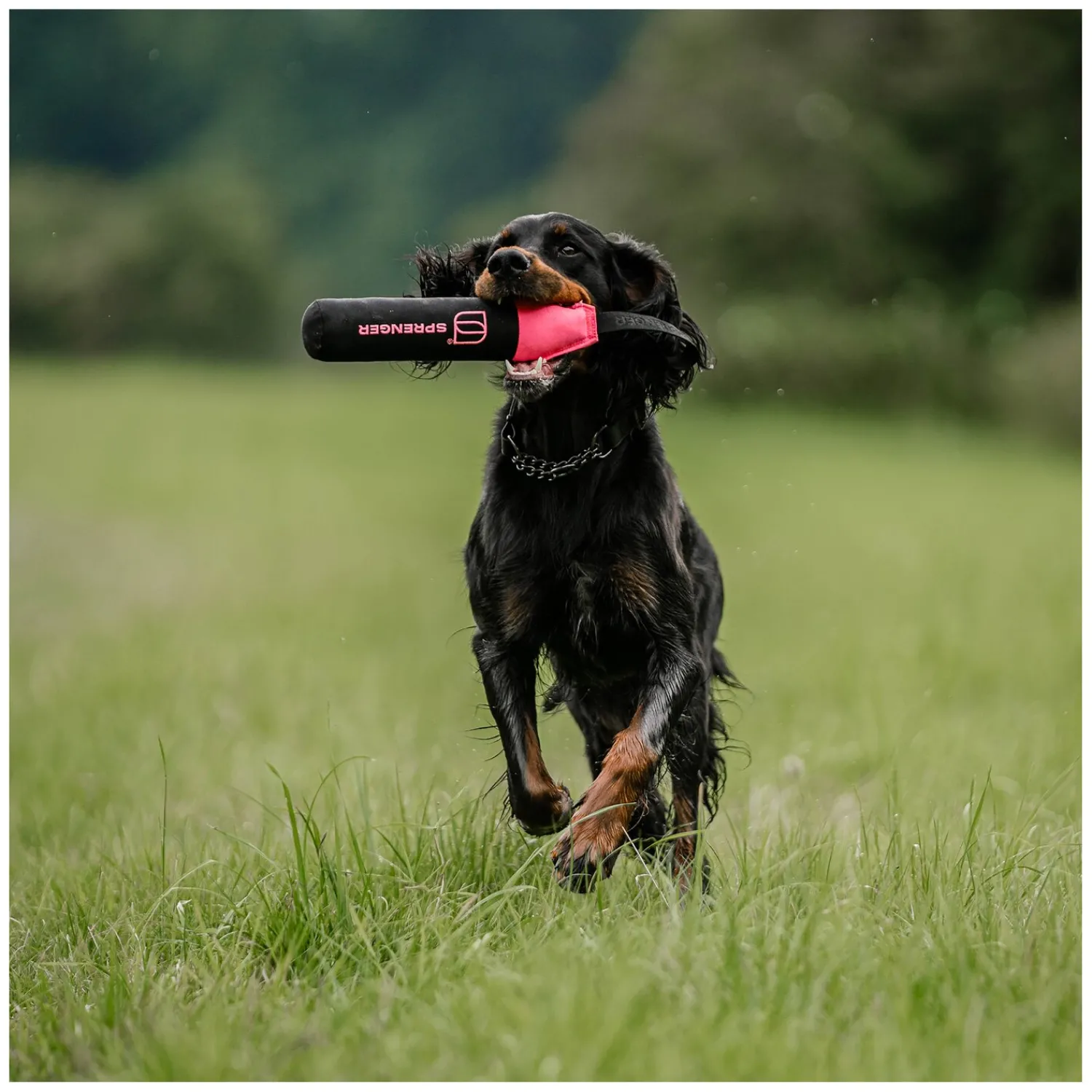 Loesdau Hundespielzeug<SPRENGER Hundespielzeug Duy