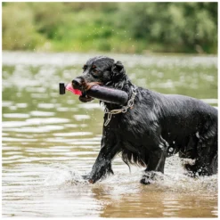 Loesdau Hundespielzeug<SPRENGER Hundespielzeug Duy