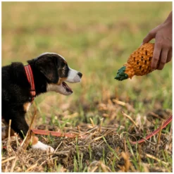 Loesdau Hundespielzeug<SPRENGER Hundespielzeug FRUIT CHALLENCE - Ananas