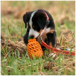 Loesdau Hundespielzeug<SPRENGER Hundespielzeug FRUIT CHALLENCE - Ananas