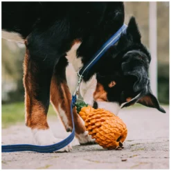 Loesdau Hundespielzeug<SPRENGER Hundespielzeug FRUIT CHALLENCE - Ananas