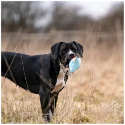 SPRENGER Hundespielzeug<Hundepielzeug Kien